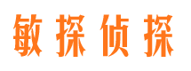 正宁外遇调查取证